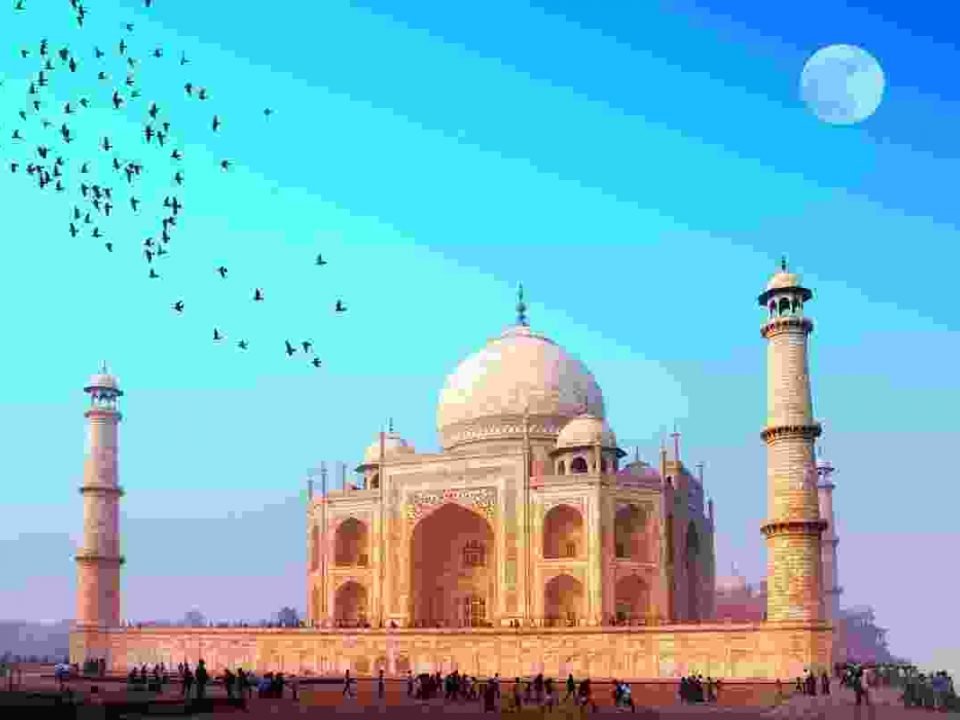 Curabitur nisl lorem