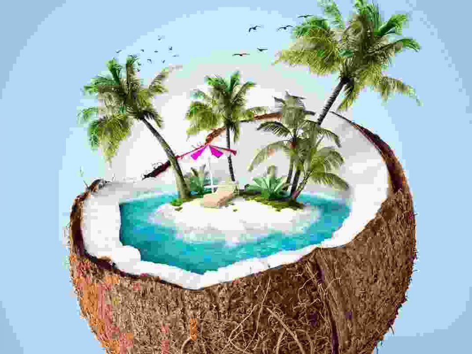 Donec placerat vehicula