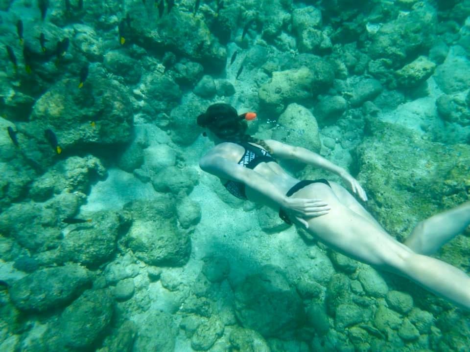 Snorkeling and diving to see the colorful fish, Dihamri Marine Protected Area, Socotra Island