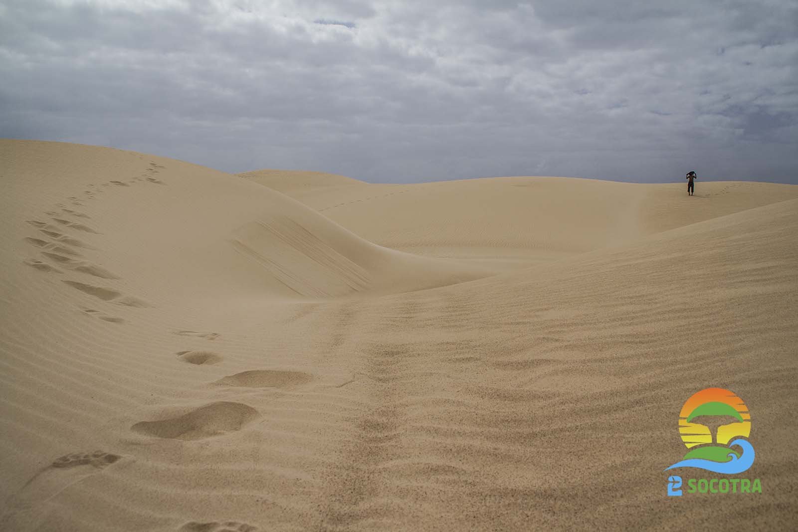 Zahik and Hayf Dunes Desert sand , Noged, Socotra Island