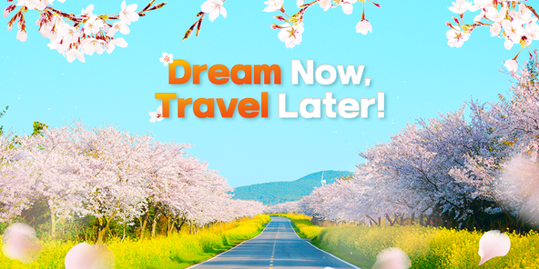 Dearm Now Travel Later Socotra Island