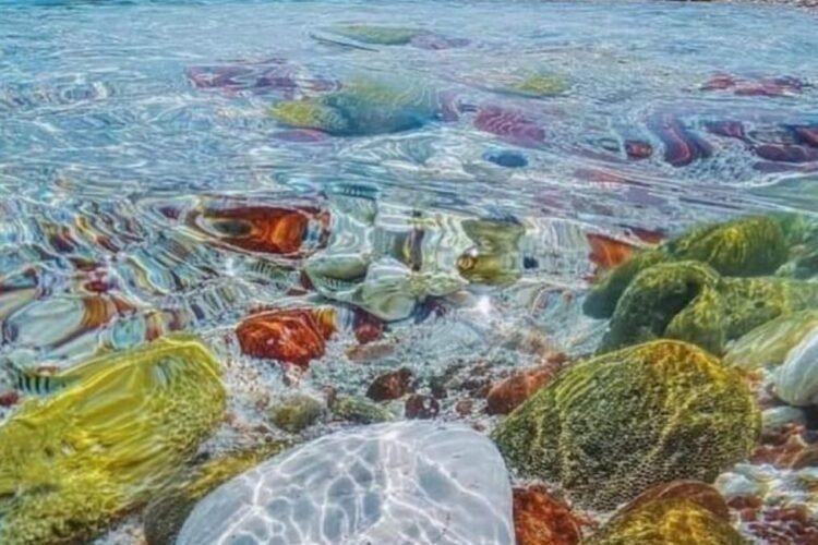 Colorful stones, Dihamri Marine Protected Area, Socotra Island
